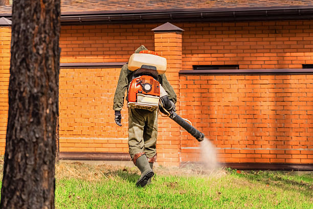 Trusted Termite Control service in Elkhart, KS - Nex Pest Control